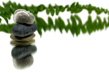 Pebbles laid on each other with the reflection. The fern in the background with a reflection. Beautiful view of the calming stones.