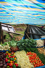 Fresh Vegetables street food - Nuwara Eliya, Sri Lanka 