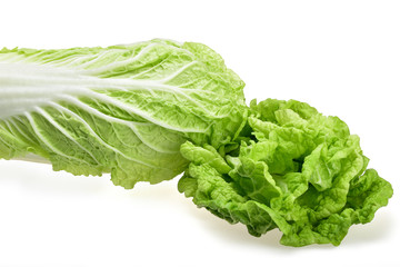A head of fresh Chinese cabbage and curly green leaves on a neutral white background.