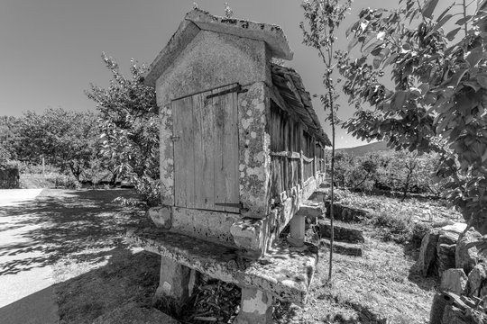 horreo