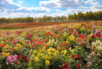北海道・秋の風景