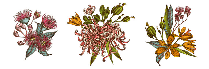 Flower bouquet of colored japanese chrysanthemum, blackberry lily, eucalyptus flower © Sad