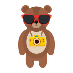 bear with summer sunglasses and photographic camera