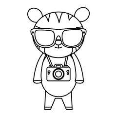 cute tiger with summer sunglasses and photographic camera