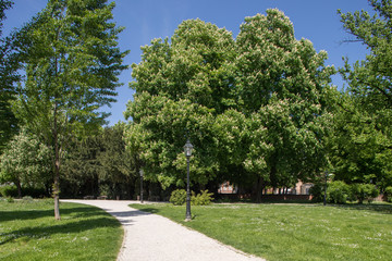 Green park in Zagreb, Croatia