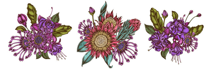 Flower bouquet of colored african daisies, fuchsia, king protea