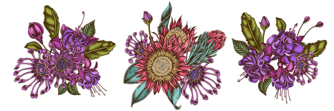 Flower bouquet of colored african daisies, fuchsia, king protea