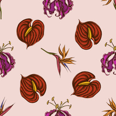 Seamless pattern with hand drawn colored gloriosa, anthurium, strelitzia