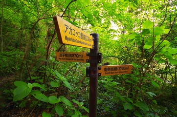 森の道しるべ