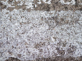 Wall in white paint paint, grunge.Texture of old gray concrete wall for background