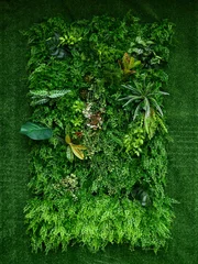 Zelfklevend Fotobehang artificial green plant wall © srckomkrit