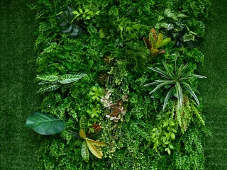  artificial green plant wall © srckomkrit