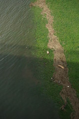 Überschwemmung Hochwasser Schwemmholz