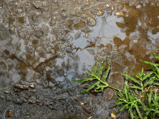 wet dirt ground texture