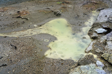 Geothermal craters in the forest in the Waiotapu area of the Taupo Volcanic Zone in New Zealand