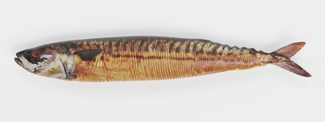 Realistic 3d Render of Smoked Mackerel