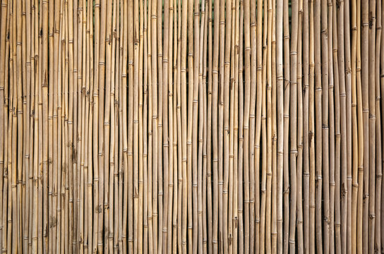yellow bamboo wall background