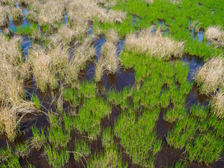 View of Marsh Lands At Blackwater Wildlife Park