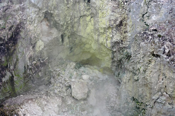 Geothermal craters in the forest in the Waiotapu area of the Taupo Volcanic Zone in New Zealand