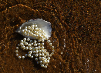 Pearl necklace in oyster in water.
