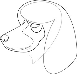 Continuous line Poodle. Single line minimal style dog vector illustration. Portrait