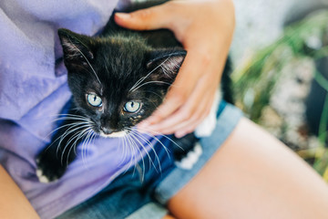 Child holding Small black kitten with blue eyes