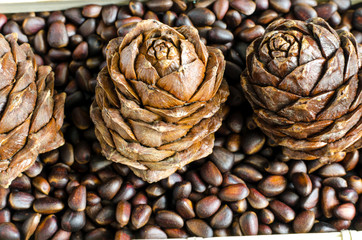 pine nuts and pine cones close-up