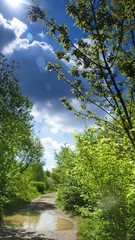 Dynamiczna zmiana światła.