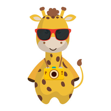 cute giraffe with summer sunglasses and photographic camera