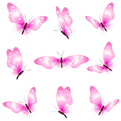 butterfly83