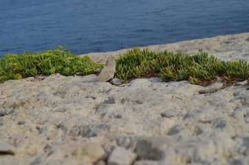 Calanques