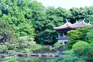Zen Japanese garden and a tea house facing the lake