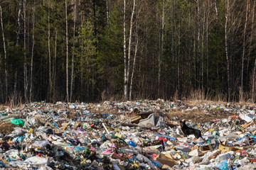 Zheshart Russia, garbage dump in the forest 05.05.2019.