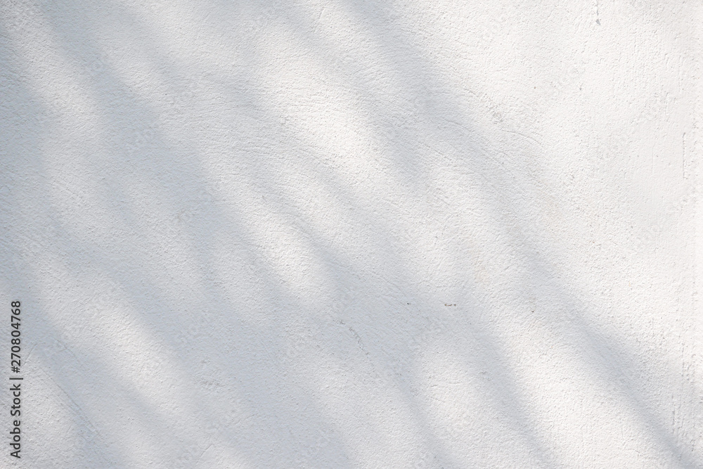 Wall mural black and white abstract background textuer of shadows leaf on a concrete wall