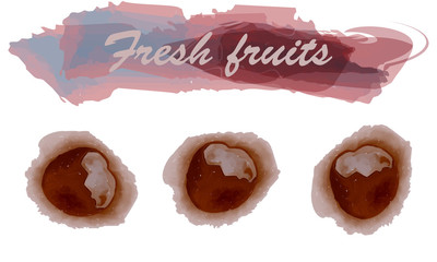 Eco food menu background. Watercolor hand drawn fruits. Vector illustration