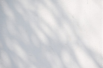 Naklejka premium Black and White abstract background textuer of shadows leaf on a concrete wall