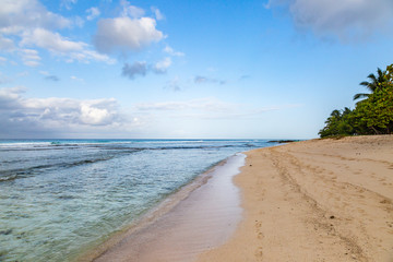A sandy beach on the Caribbean Island of Barbados, taken with morning light