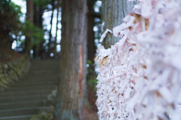 Wishes and Prays in a Japanese temple