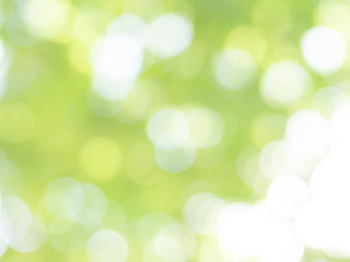 abstract light green background with bokeh effect