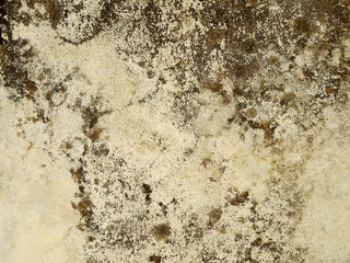 dirty wall with mold texture