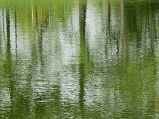 abstract water reflection in the forest