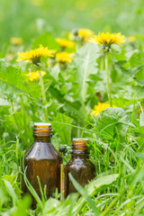pharmaceutical bottle of medicine in grass against background of blooming yellow flower Taraxacum officinale, or dandelions . Preparation of medicinal plants. Ready potion of grass.