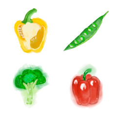 Eco food menu background. Watercolor hand drawn vegetables. Vector illustration