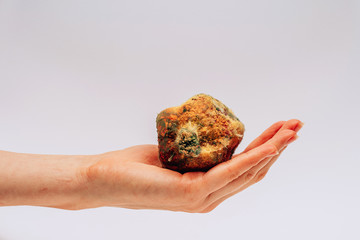 Spoiled pomegranate with mold in female hands on a white background. Ecological disaster in our...