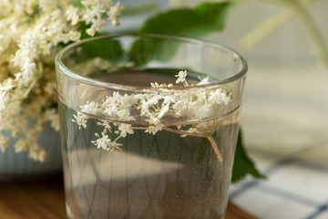Infusion of elderberry flowers in a glass on the table.