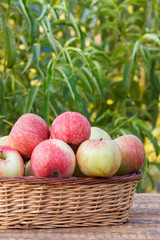 Just picked red apples in wicker basket on old wooden boards.