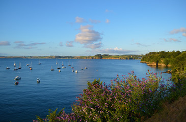 Douarnenez