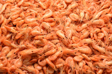 Tasty fresh shrimps as background.