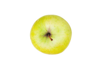 One whole fresh raw apple of green color with branch isolated on white background