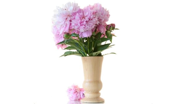 bouquet of blooming peonies on white background